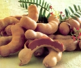 Тамаринд Сладкий ( TAMARIND )