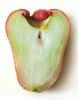 Розовое яблоко ( tubtimjan rose apple )