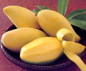 Манго ( MANGO Nam Dok Mai )