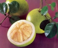 Помело ( POMELO )