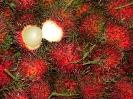 Рамбутан ( RAMBUTAN )