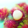 Рамбутан ( RAMBUTAN )