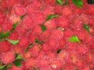 Рамбутан ( RAMBUTAN )