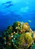 Остров Мак \  เกาะหมาก \ Ko Mak