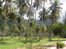 Остров Koh Tarutao