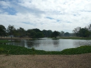 Аюттхайя. Парк Прарам (Phra Ram Park)
