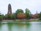 Аюттхайя. Парк Прарам (Phra Ram Park)
