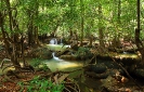 Провинция Так(Tak) Национальный парк Умпанг( Umphang National Park )