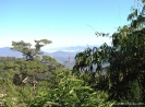 Провинция Так(Tak) Национальный парк Умпанг( Umphang National Park )