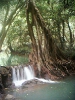 Краби. Национальный парк Боккхорани \ Than Bok Khorani National Park