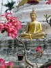 Чианг Май. Храм Ват Буппарам \ Wat Buppharam