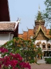 Чианг Май. Храм Ват Буппарам \ Wat Buppharam