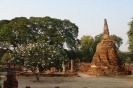 Храм Ват Пра Си Санпет (Wat Phra Si Sanphet),
