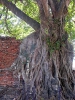 Древняя столица Сиама Аюттхайя (Ayutthaya)