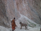 Тигровый храм (Tiger Temple)