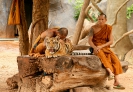 Тигровый храм (Tiger Temple)