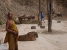 Тигровый храм (Tiger Temple)