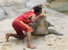 Бангкок. Крокодиловая ферма в Самутпракарн (Crocodile farm Samuthprakarn)