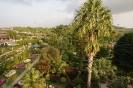 Паттайя. Тропический парк Нонг НУЧ (Nong Nooch)