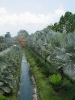 Тропический сад «Нонг Нуч» (Nong Nooch Tropical Garden)