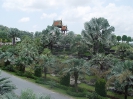 Тропический сад «Нонг Нуч» (Nong Nooch Tropical Garden)