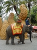 Тропический сад «Нонг Нуч» (Nong Nooch Tropical Garden)