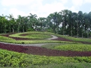 Тропический сад «Нонг Нуч» (Nong Nooch Tropical Garden)