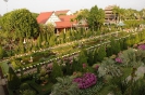 Nong Nooch tropical garden
