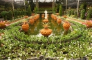 Nong Nooch tropical garden