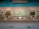 Пхукет. Музей морских раковин (Seashell Museum)