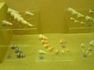 Пхукет. Музей морских раковин (Seashell Museum)