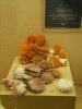 Пхукет. Музей морских раковин (Seashell Museum)