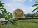 Паттайя. Сад бабочек Сайтхип (Saithip Butterfly Garden)