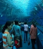 Паттайя. Аквариум Подводный Мир (Underwater world Pattaya)