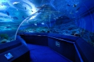 Паттайя. Аквариум Подводный Мир (Underwater world Pattaya)
