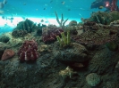 Паттайя. Аквариум Подводный Мир (Underwater world Pattaya)