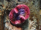 Паттайя. Аквариум Подводный Мир (Underwater world Pattaya)