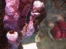 Паттайя. Аквариум Подводный Мир (Underwater world Pattaya)
