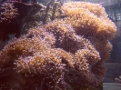 Паттайя. Аквариум Подводный Мир (Underwater world Pattaya)