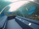 Паттайя. Аквариум Подводный Мир (Underwater world Pattaya)