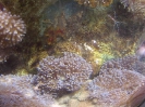 Паттайя. Аквариум Подводный Мир (Underwater world Pattaya)