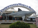 Паттайя. Аквариум Подводный Мир (Underwater world Pattaya)