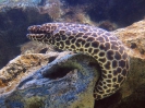 Паттайя. Аквариум Подводный Мир (Underwater world Pattaya)