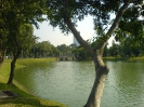 Бангкок. Парк Лумпхини (Lumphini Park)