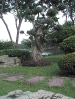Бангкок. Парк Лумпхини (Lumphini Park)