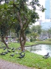 Бангкок. Парк Лумпхини (Lumphini Park)