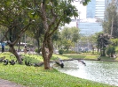 Бангкок. Парк Лумпхини (Lumphini Park)