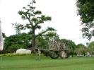 Парк миллионлетних камней (Million Years Stone Park)