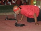 Паттайя. Змеиная ферма (Snake Farm)