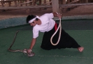 Паттайя. Змеиная ферма (Snake Farm)